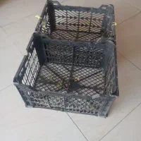 جعبه 15 کیلویی|ظروف نگهدارنده، پلاستیکی، یک‌بارمصرف|شیروان (خراسان), |دیوار