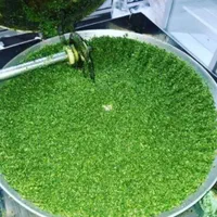 کیلو 40 تومان ، انواع سبزی خورد شده|خوردنی و آشامیدنی|شیراز, محراب|دیوار