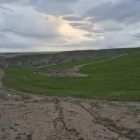 زمین کشاورزی وباغ با آب دائمی|اجارهٔ دفتر صنعتی، کشاورزی، تجاری|هشترود, |دیوار