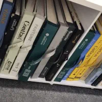 مجموعه پخش و طراحی کاغذ دیواری شرکتی