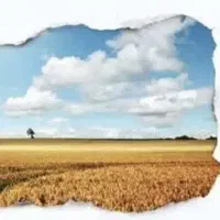 کاروان مشهد . کاشان . قم