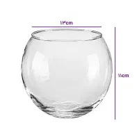 تنگ ماهی عید وماهی قرمز