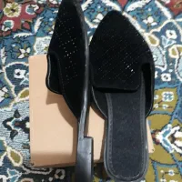 دمپایی رو فرشی مشکی|کیف، کفش، کمربند|آمل, |دیوار