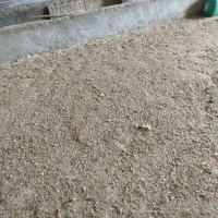 کود حیوانی رایگان