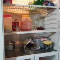 یخچال|یخچال و فریزر|تربت جام, کلالی|دیوار