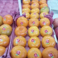 قیمت به روز میوه|خوردنی و آشامیدنی|کاشان, میدان کهنه|دیوار