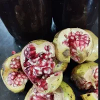 رب انار ترش جنگلی