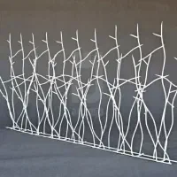 حفاظ روی دیوار گلبهار