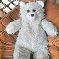 خرس بزرگ