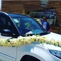 گل وگیاه لاکچری، کیفیت بالا، قیمت مناسب|گل و گیاه طبیعی|لنجان, |دیوار