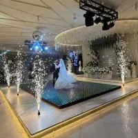 دیجی خانم و اقا