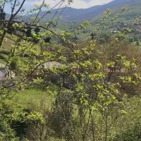 باغ شهر مزرعه سبز امید ۱۰۰۰ متری موقعیت خوب