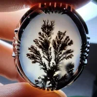 انگشتر هایه نقره شجر مهردار|جواهرات|تهران, باغ فیض|دیوار