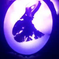 انگشترنقره