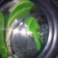 سبزی خرد کن|خردکن، آسیاب، غذاساز|شوشتر, |دیوار