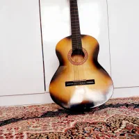 گیتار ، همراه با کیف