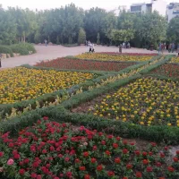 باغچه فروشی