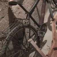 فقط معاوضه