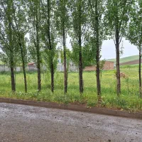 زمین تجاری بر خیابان شهر آبش احمد