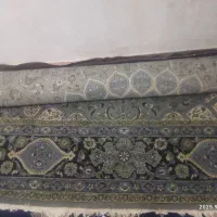 قالی|فرش|شوشتر, |دیوار