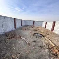 باغچه-با-رشد-قیمت-بالا