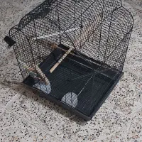 قفس پرنده