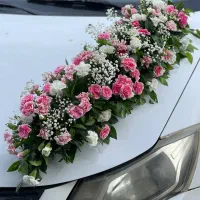 بادکنک ارا،گل ارا|خدمات پذیرایی، مراسم|بابل, |دیوار