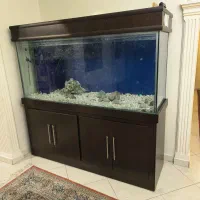 آکواریوم کمد دار