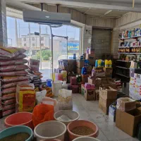 استخدام فروشنده خانم|استخدام خدمات فروشگاه و رستوران|اهواز, بنکداری|دیوار
