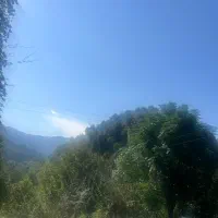 مغازه-شکاری-گلزاران-اصلی