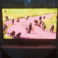 تلویزیون ۴۲اینچ ال ای دی  lg|تلویزیون و پروژکتور|تهران, خاوران|دیوار