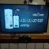 تلویزیون 43اینچ olive