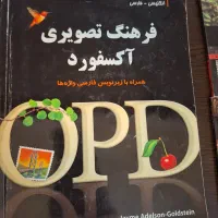 دیکشنری تصویری