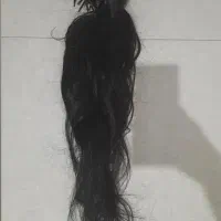 فروش ۲۷۰ شاخه موی طبیعی ۶۰ سانت مناسب اکستنشن