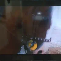 تلوزیون 42 اینچ سامسونگ