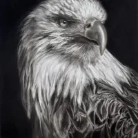 آموزش طراحی چهره و سیاهقلم (هایپررئال)