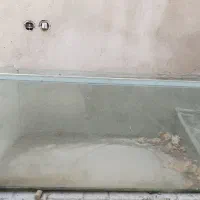 آکواریوم