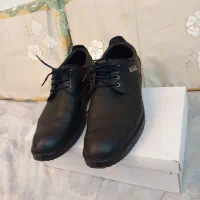 کفش چرم ecco اصلی سایز 44