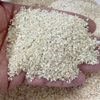 برنج فجر|خوردنی و آشامیدنی|گرگان, |دیوار