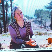 ال ای دی سامسونگ 43اینچ