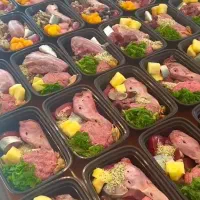 غذا خونگی گربه و سگ|لوازم جانبی حیوانات|شیراز, سرو|دیوار