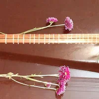 سه تار مدل ماهان ویژه|سازهای سنتی|تهران, پونک|دیوار