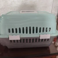 باکس سگ