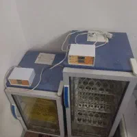 دستگاه جوجه کشی مرغ و خروس