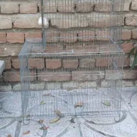 قفس کاسکو قفس پرنده|لوازم جانبی حیوانات|ارومیه, |دیوار