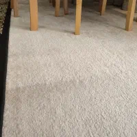 موکت در حد نو