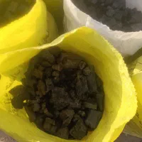 ذغال کبابی ارزان به تعداد محدود|عمده‌فروشی|قم, جمکران|دیوار