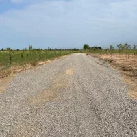 فروش باغچه ۲۰۰متری سنددار در محموداباد