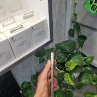 IPHONE 16 PRO MAX|موبایل|کرج, اصفهانی‌ها|دیوار