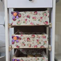 جای سیب زمینی پیاز